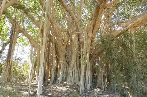 Vers Andavadoaka - Madagascar