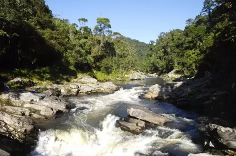 Dans le parc de Ranomafana - Madagascar