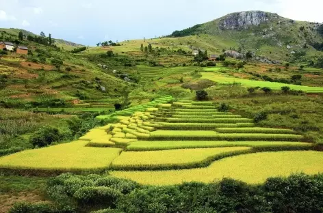 Campagne betsileo, vers Fianarantsoa - Madagascar