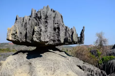 Rando dans les Petits Tsingy de Bemaraha - Madagascar