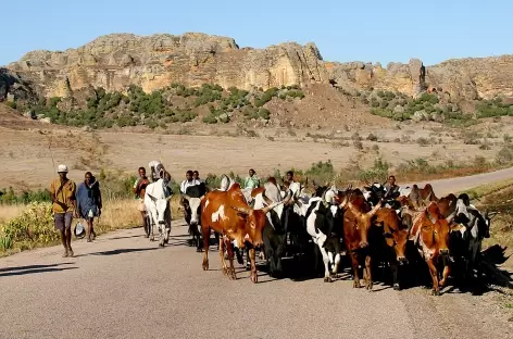 Massif de l'Isalo - Madagascar - 