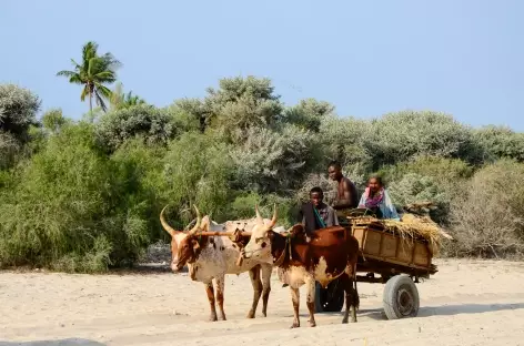 Scène de vie sur la côte Ouest de Madagascar