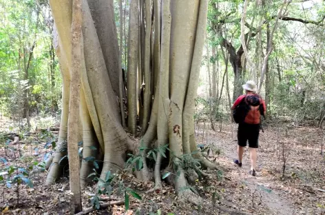 Trek sauvage dans le nord du massif du Makay - Madagascar 