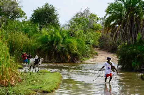 Scène de vie sur la côte Ouest de Madagascar