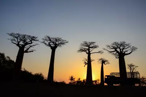 Coucher de soleil sur l'Allée des Baobabs - Madagascar