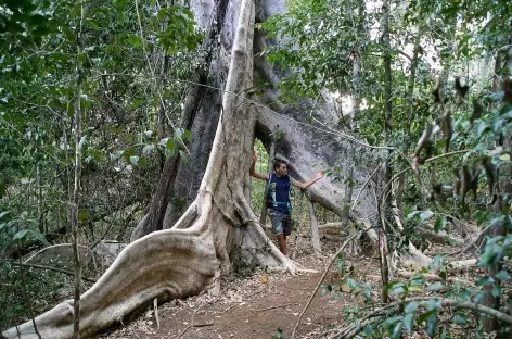 Rando dans le Parc national de l'Ankarana - Madagascar