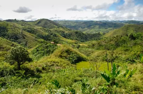 Campagne le long de la ligne de train - Madagascar