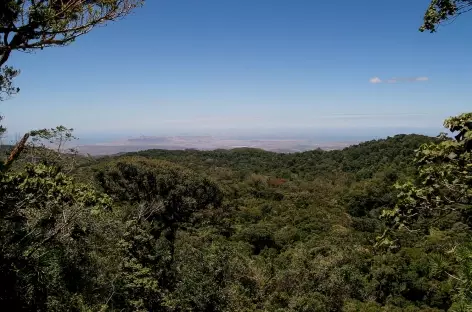 Montagne d'Ambre - Madagascar