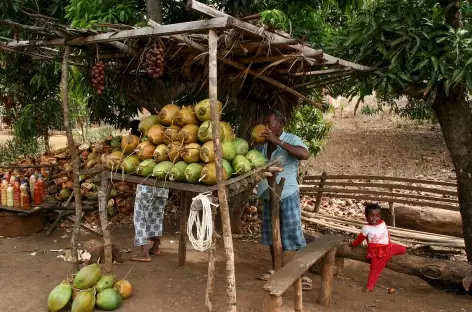 Au bord de la Nationale 6 - Madagascar