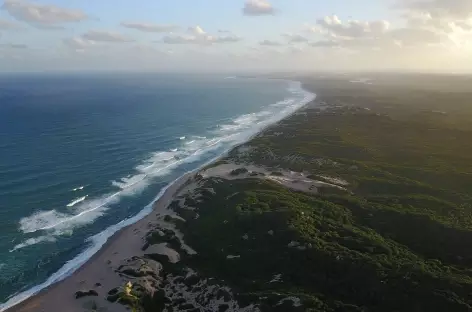 Forêt tropicale côtière - Mozambique - 