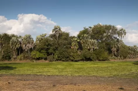 Lac fertile dans le PN de Gorongosa_Mozambique - 