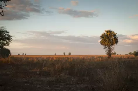Coucher de soleil sur le PN de Gorongosa_Mozambique - 