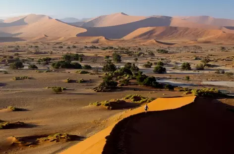 Dunes de Sossusvlei - Namibie