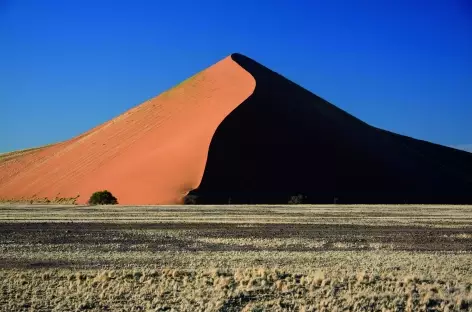 Dune 45 au lever du soleil à Sossusvlei - Namibie - 