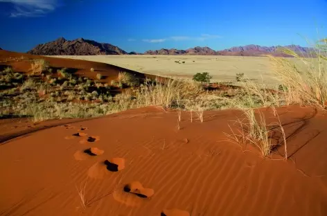 Dunes d'Elim à Sesriem - Namibie