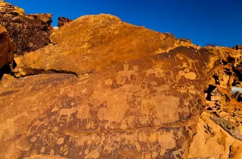 Gravures rupestres de Twyfelfontein - Namibie