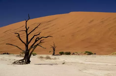 Dépression de Deadvlei - Namibie