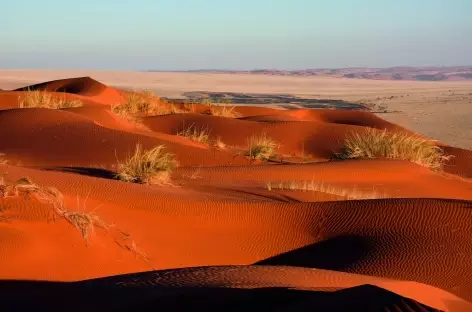 Dunes d'Elim au coucher du soleil à Sesriem - Namibie