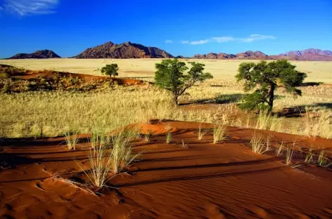 Dunes d'Elim à Sesriem - Namibie