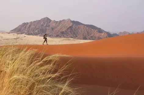 Dunes d'Elim - Namibie