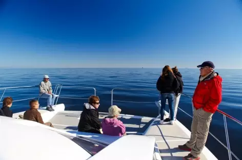 Sortie en bateau dans la lagune de Walvis Bay - Namibie