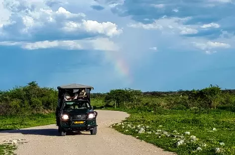 Parc national d'Etosha - Namibie