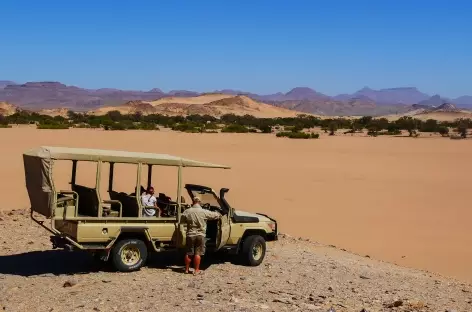 Sur la piste des éléphants du désert, Damaraland - Namibie