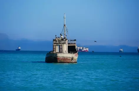 Lagune de Walvis Bay - Namibie