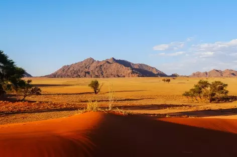 Dunes d'Elim à Sesriem - Namibie - 