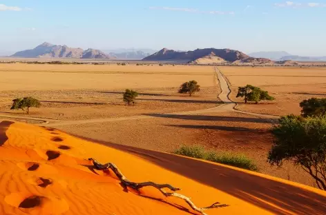 Dunes d'Elim à Sesriem - Namibie - 