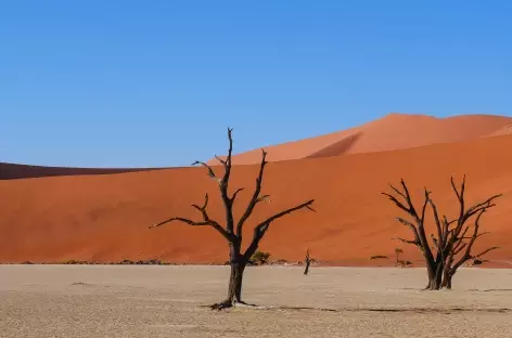 Dépression de Deadvlei - Namibie