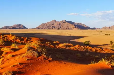 Dunes d'Elim à Sesriem - Namibie