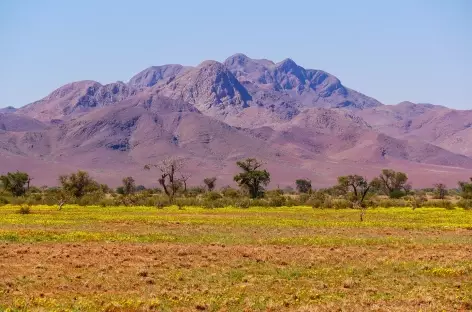 Massif du Naukluft - Namibie