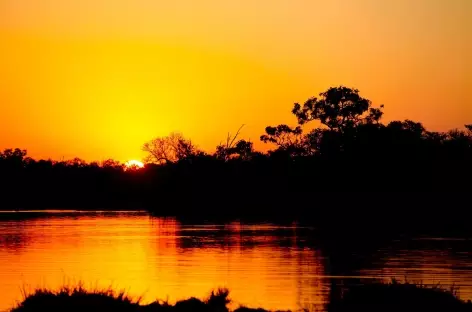 Lumières du soir sur la rivière Chobe - Botswana