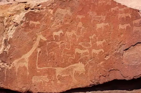 Gravures rupestres de Twyfelfontein - Namibie - 