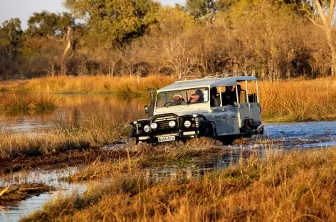 Traversée de gués dans la réserve de Moremi - Botswana