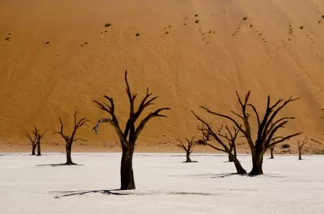 Deadvlei - Namibie