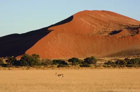 Dunes à Sossusvlei - Namibie