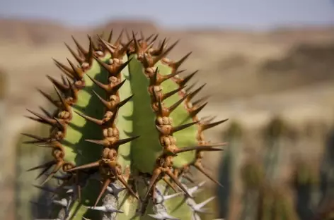 En chemin - Namibie