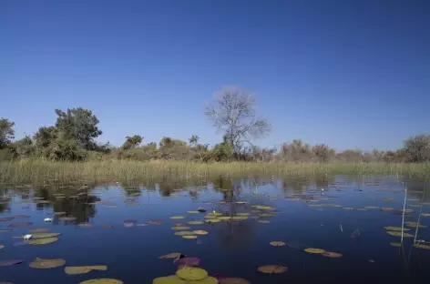 Delta de l'Okavango - Botswana