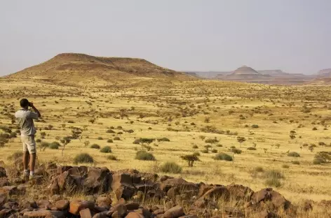 Paysage de savane du Damaraland - Namibie