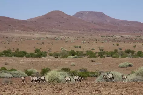 Paysage du Damaralaand - Namibie