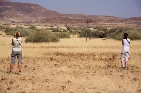 Région du Damaraland, vers Palmwag - Namibie