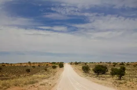 Piste dans le désert du Kalahari - Namibie