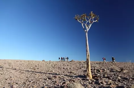 Marche en direction du Fish River Canyon - Namibie