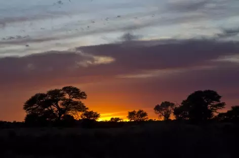 Coucher du soleil dans le désert du Kalahari - Namibie