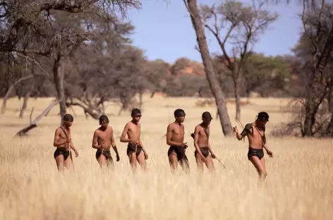 Marche avec les Bushmen, désert du Kalahari - Namibie