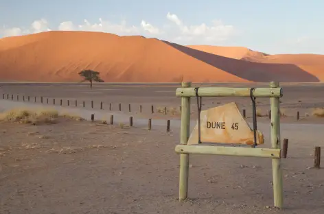 Dune 45 - Namibie
