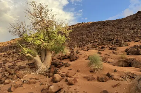 Sesriem - Namibie