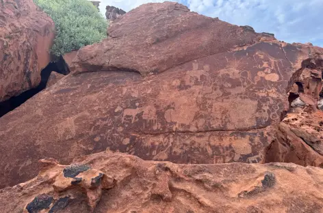 Gravures rupestres à Twyfelfontein - Namibie